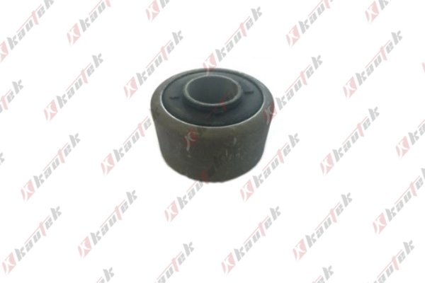Mounting, control/trailing arm (NI-BS048)
