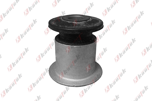 Mounting, control/trailing arm (AU-BS041)