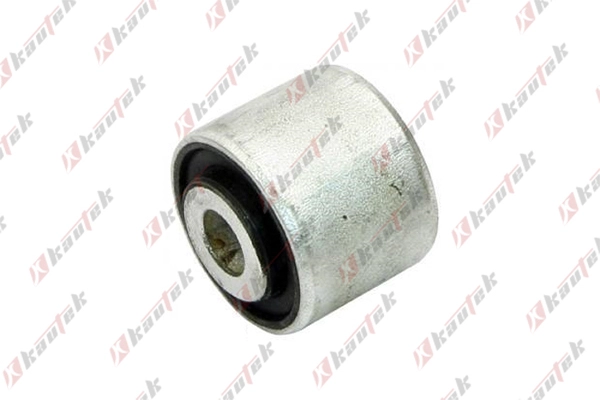 Mounting, control/trailing arm (AU-BS033)