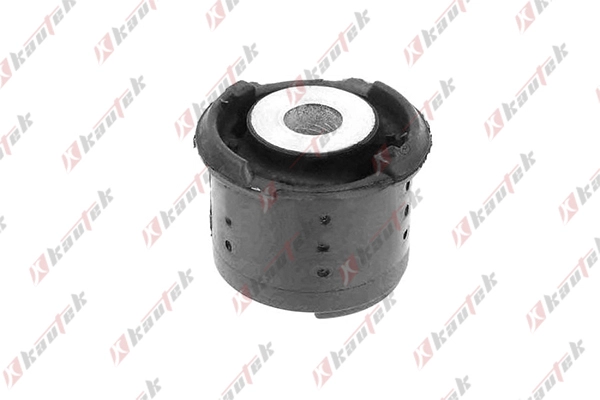 Bushing, axle bracket (BM-BS009)