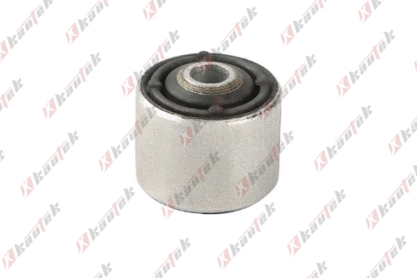 Mounting, control/trailing arm (AU-BS119)