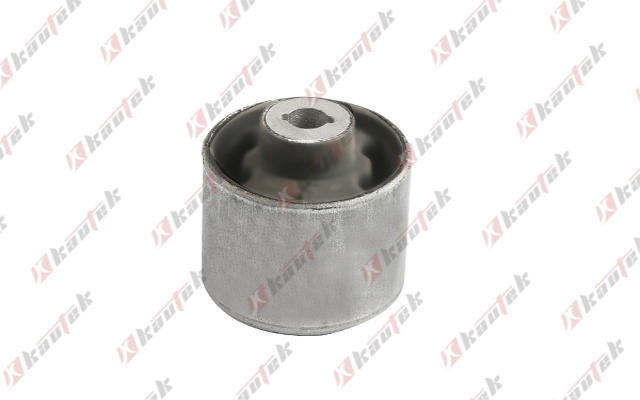 Mounting, control/trailing arm (FI-BS127)