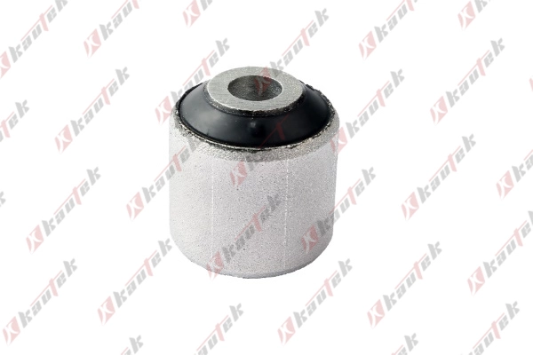 Mounting, control/trailing arm (BM-BS141)