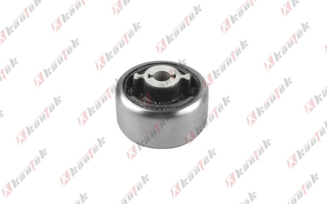 Mounting, control/trailing arm (FD-BS304)