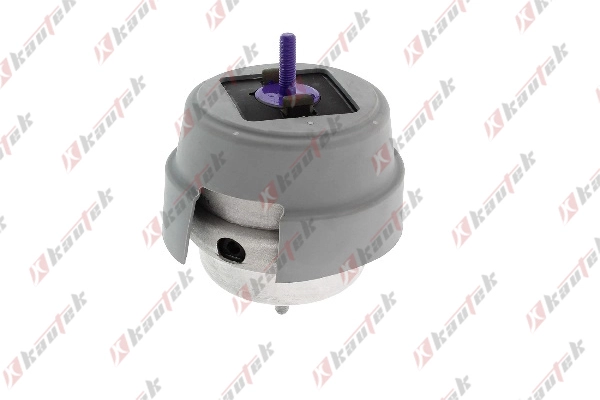 Mounting, engine (AU-EM031)