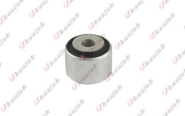 Mounting, control/trailing arm (TS-BS010)
