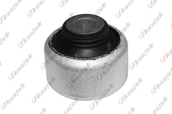 Mounting, control/trailing arm (PE-BS062)