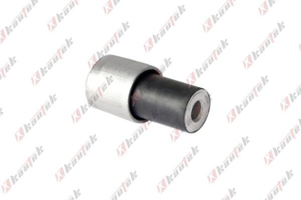 Mounting, control/trailing arm (AU-BS093)