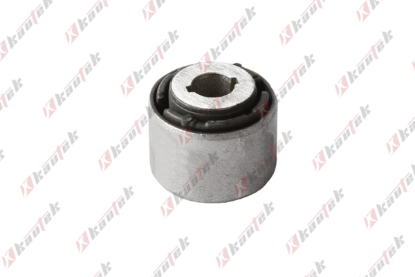 Mounting, control/trailing arm (FD-BS222)