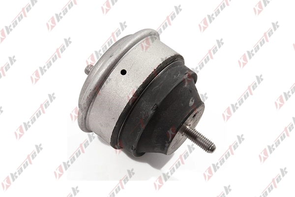 Mounting, engine (BM-EM024)