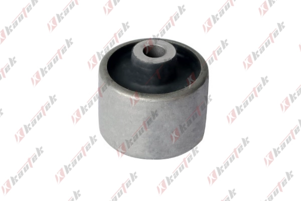 Mounting, control/trailing arm (NI-BS060)