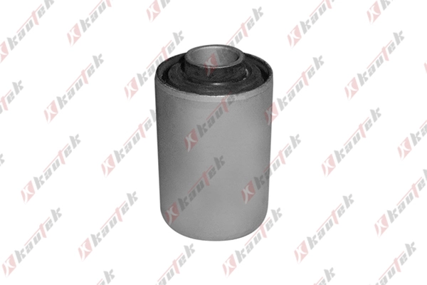 Mounting, control/trailing arm (NI-BS024)