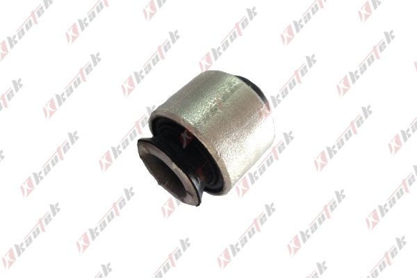 Mounting, control/trailing arm (PE-BS078)