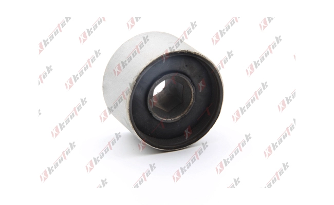 Mounting, control/trailing arm (AU-BS079)