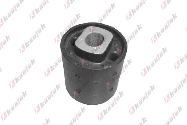 Mounting, automatic transmission (BM-BS048)