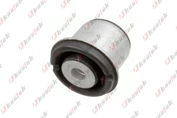 Mounting, control/trailing arm (BM-BS146)