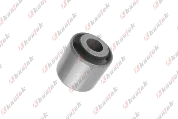 Mounting, control/trailing arm (FD-BS093)