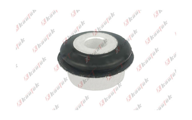 Mounting, control/trailing arm (FD-BS243)