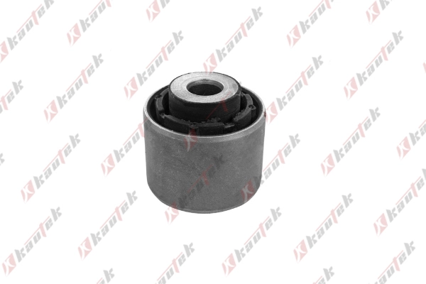 Mounting, wheel bearing housing (BM-BS118)