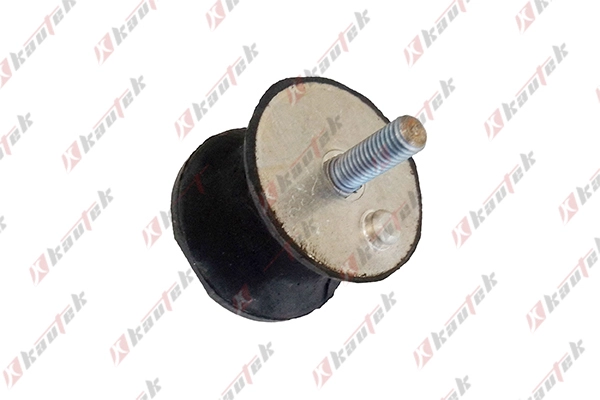 Mounting, automatic transmission (BM-TM007)