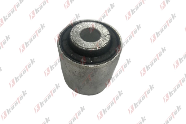 Mounting, control/trailing arm (BM-BS084)