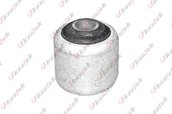 Mounting, control/trailing arm (BM-BS051)