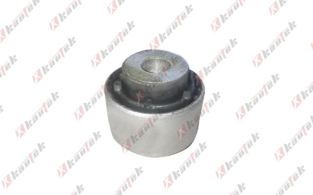 Mounting, control/trailing arm (BM-BS196)