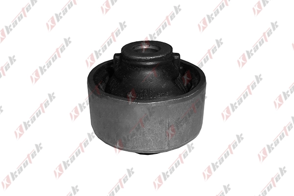 Mounting, control/trailing arm (NI-BS030)