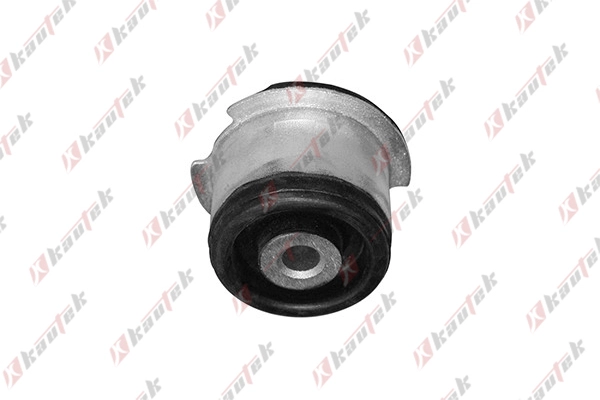 Mounting, wheel bearing housing (BM-BS030)