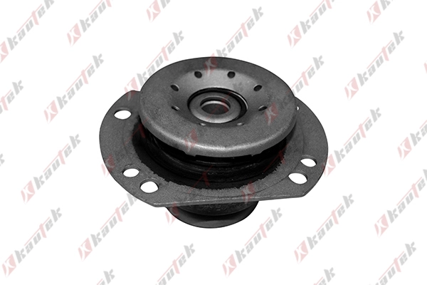 Mounting, automatic transmission (DW-TM001)