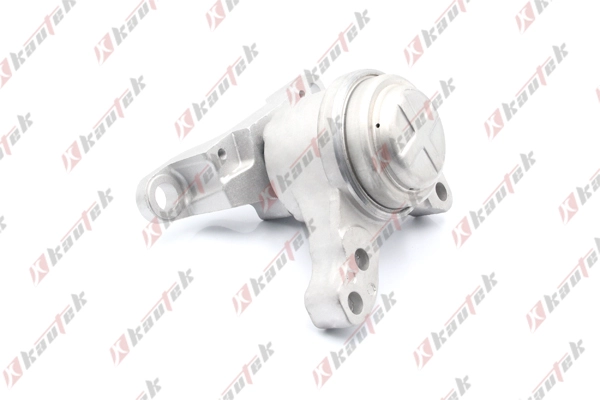 Mounting, engine (FD-EM053)