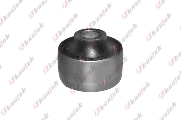 Mounting, control/trailing arm (OP-BS039)