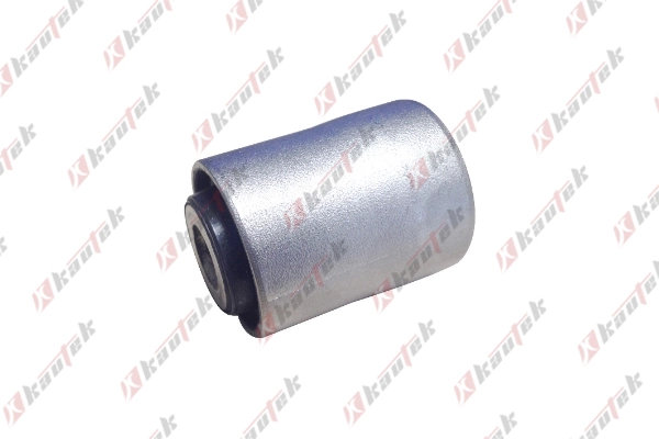Mounting, control/trailing arm (FD-BS137)