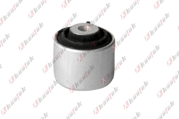Mounting, control/trailing arm (AU-BS094)