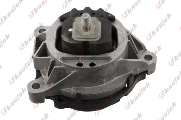 Mounting, engine (BM-EM060)