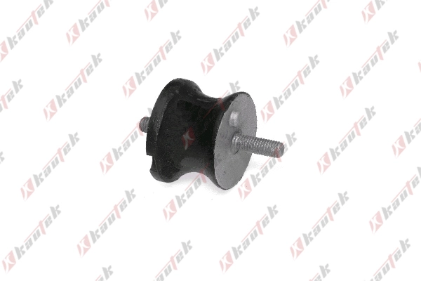 Mounting, automatic transmission (BM-TM008)
