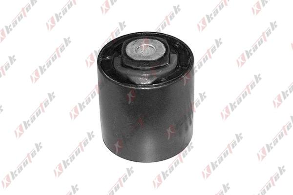 Mounting, control/trailing arm (VW-BS035)