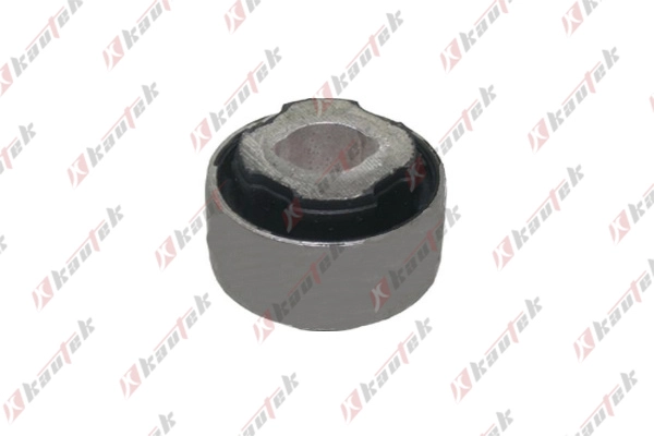 Mounting, control/trailing arm (CI-BS029)
