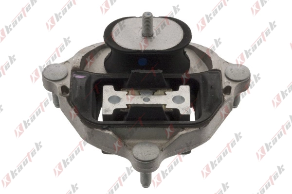 Mounting, engine (AU-EM047)