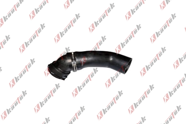 Charge Air Hose (BM-TH015)