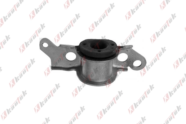 Mounting, control/trailing arm (FI-BS006)