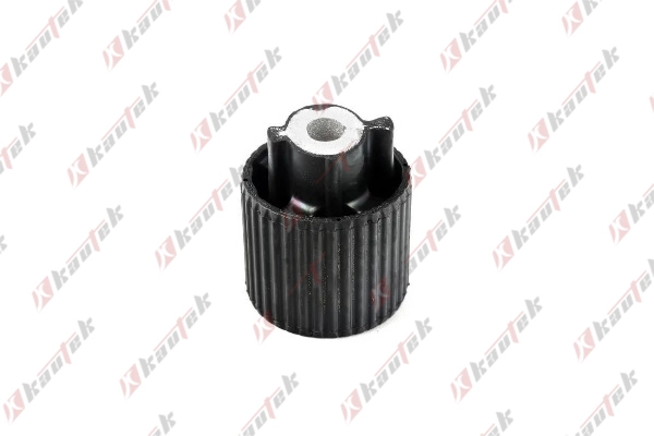 Bushing, axle bracket (BM-BS178)