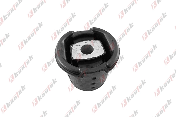 Bushing, axle bracket (BM-BS036)