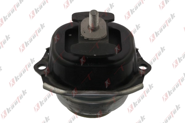 Mounting, engine (BM-EM053)