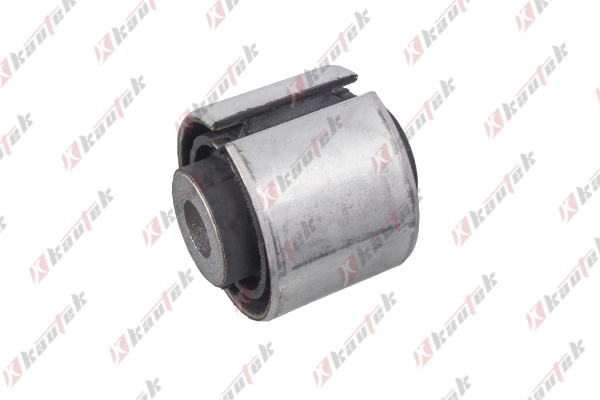 Mounting, control/trailing arm (AU-BS063)