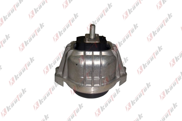 Mounting, engine (BM-EM019)
