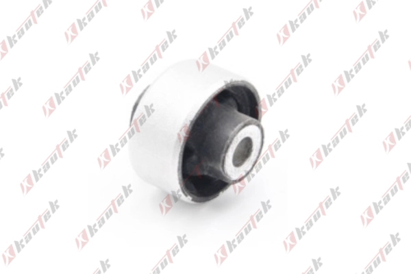Mounting, control/trailing arm (FI-BS050)