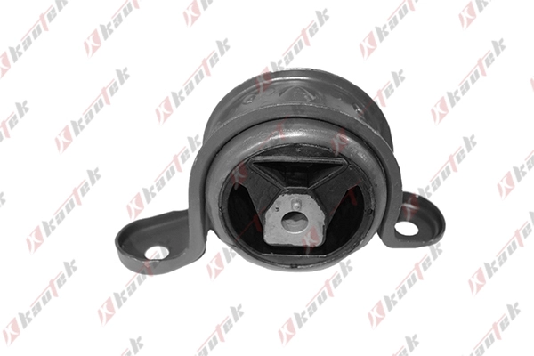 Mounting, engine (OP-EM066)
