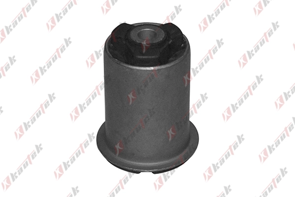 Bushing, axle bracket (AU-BS015)