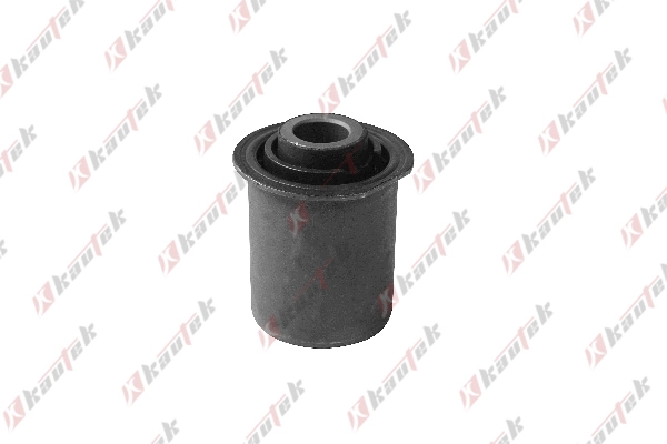 Mounting, control/trailing arm (DO-BS005)
